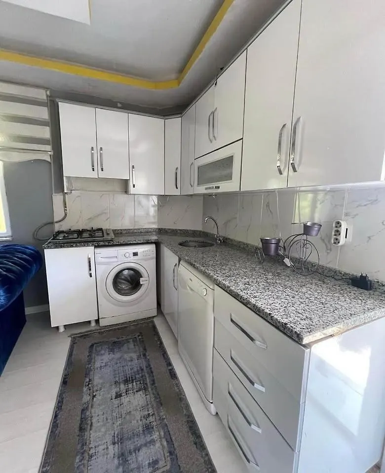 House Style Apartment Istanbul Turkey